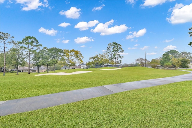 view of community featuring a yard