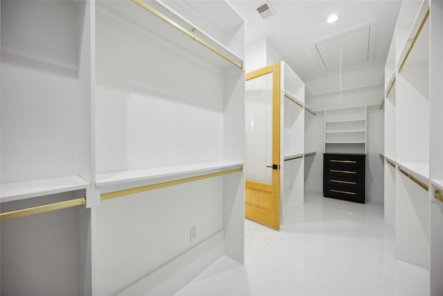 view of walk in closet