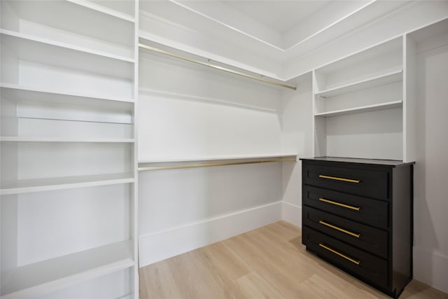 walk in closet with wood-type flooring