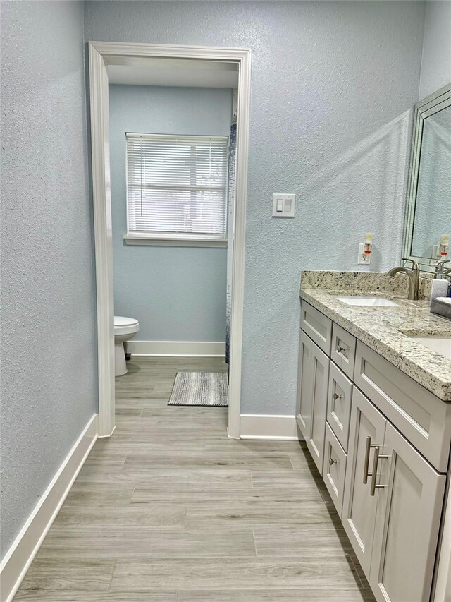 bathroom featuring vanity, hardwood / wood-style flooring, and toilet