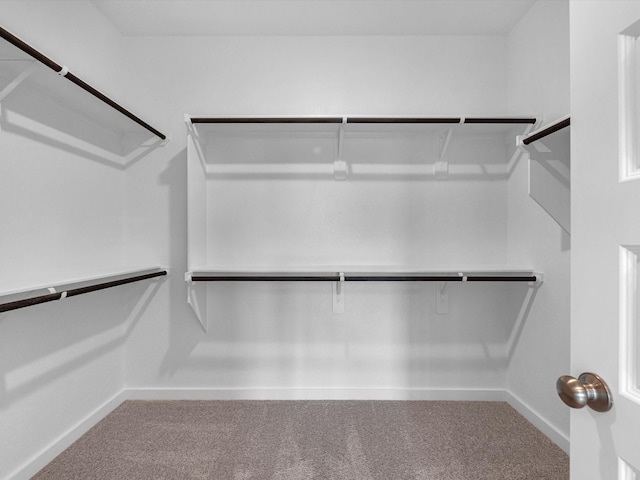 walk in closet featuring carpet floors