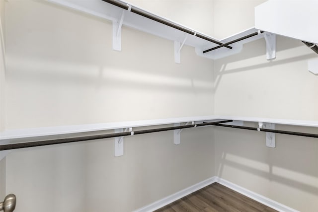 walk in closet featuring dark hardwood / wood-style flooring