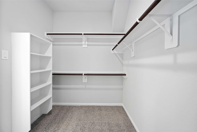 walk in closet with carpet