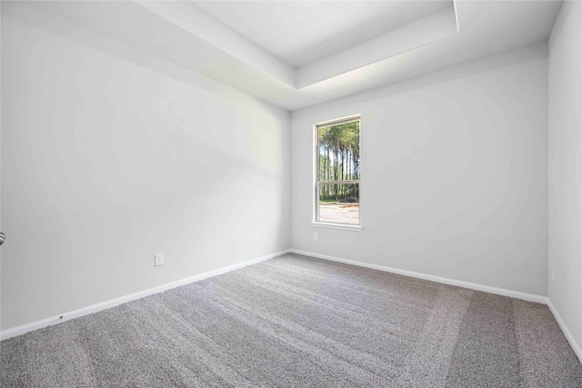 spare room featuring carpet flooring and a tray ceiling