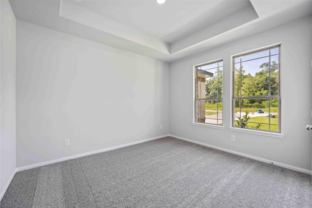 carpeted empty room with a raised ceiling