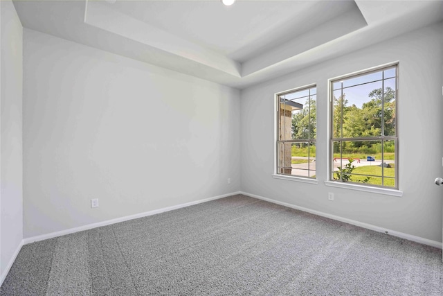 1485 Rd 66114, Dayton, TX 77535 - empty room featuring a raised ceiling, carpet floors, and baseboards