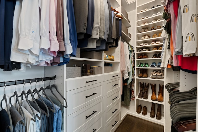 spacious closet featuring dark wood-type flooring