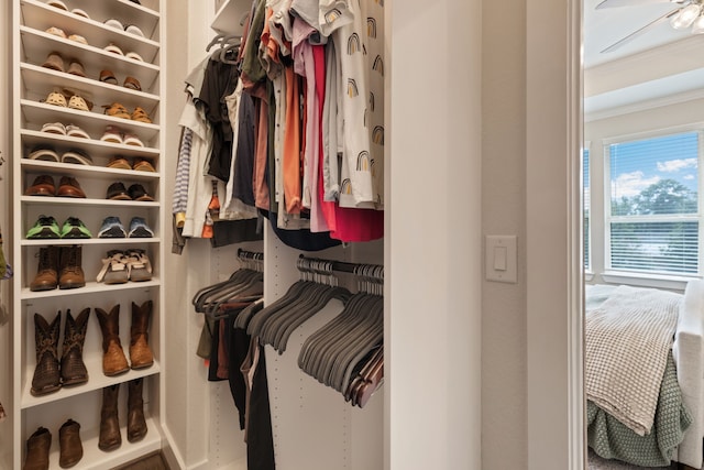 view of walk in closet