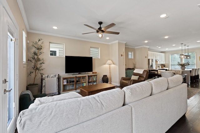 living room featuring ceiling fan, dark wood-type flooring, and ornamental molding