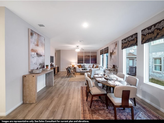 dining area with ceiling fan and light hardwood / wood-style flooring