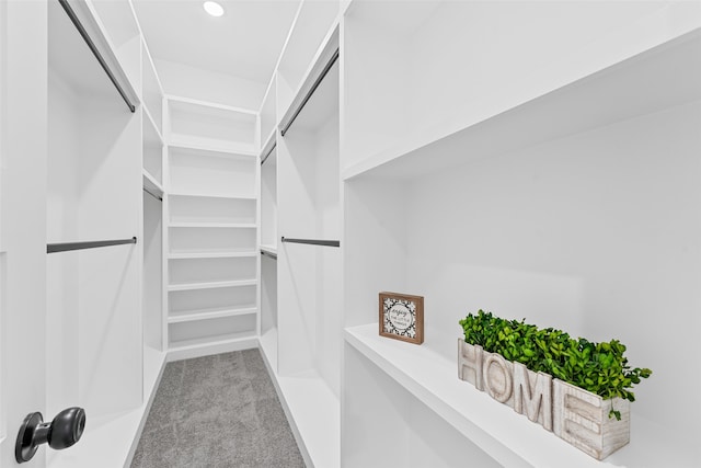 walk in closet featuring light colored carpet