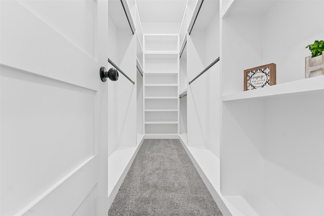 walk in closet featuring light carpet