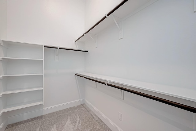 walk in closet featuring carpet flooring