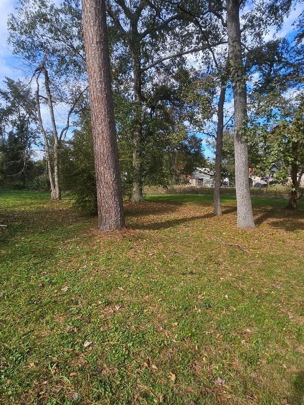 Listing photo 2 for 0 Mistletoe Trl, Magnolia TX 77354