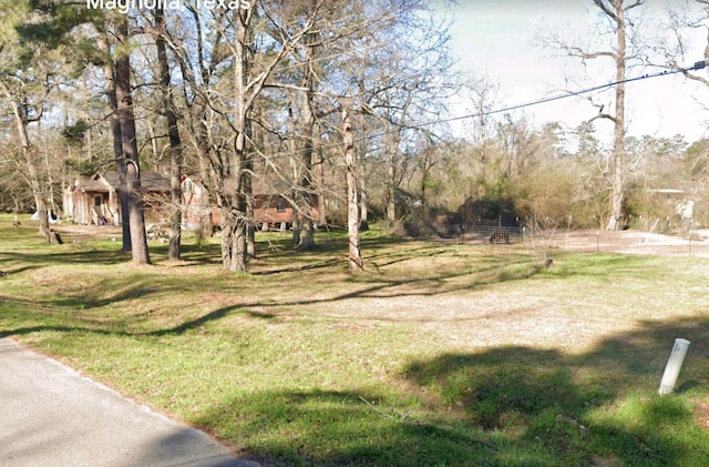 Listing photo 3 for 0 Mistletoe Trl, Magnolia TX 77354