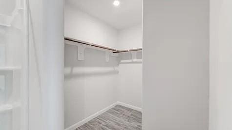 walk in closet with wood-type flooring