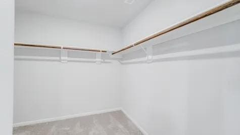 walk in closet featuring carpet flooring