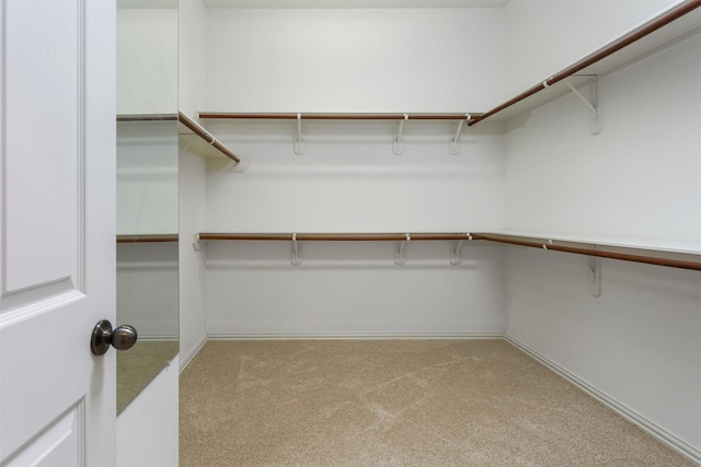 walk in closet with light carpet