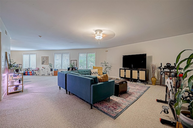 view of carpeted living room