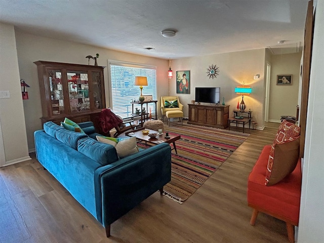 living room with hardwood / wood-style flooring