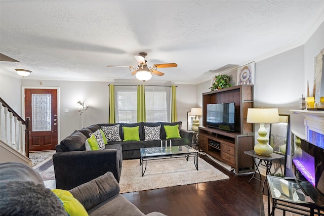 living room featuring a fireplace, dark hardwood / wood-style flooring, a textured ceiling, and ornamental molding