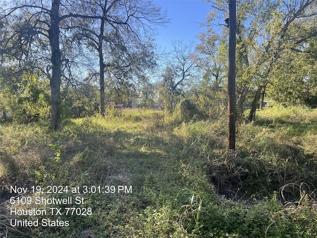 6102 Shotwell St, Houston, TX 77028 - photo 6