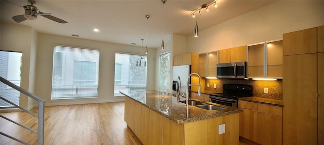 kitchen with ceiling fan, sink, an island with sink, appliances with stainless steel finishes, and light wood-type flooring