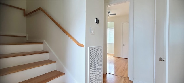 staircase featuring hardwood / wood-style floors and ceiling fan