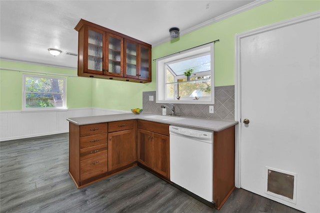 kitchen with dishwasher, tasteful backsplash, plenty of natural light, and dark wood-type flooring