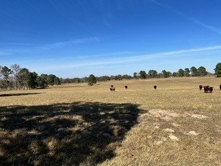 Listing photo 2 for FM466 Pine Ranch Rd, Seguin TX 78155