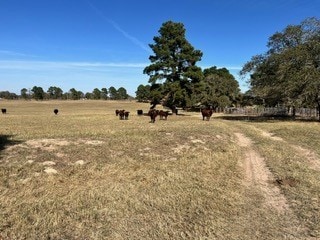 Listing photo 3 for FM466 Pine Ranch Rd, Seguin TX 78155