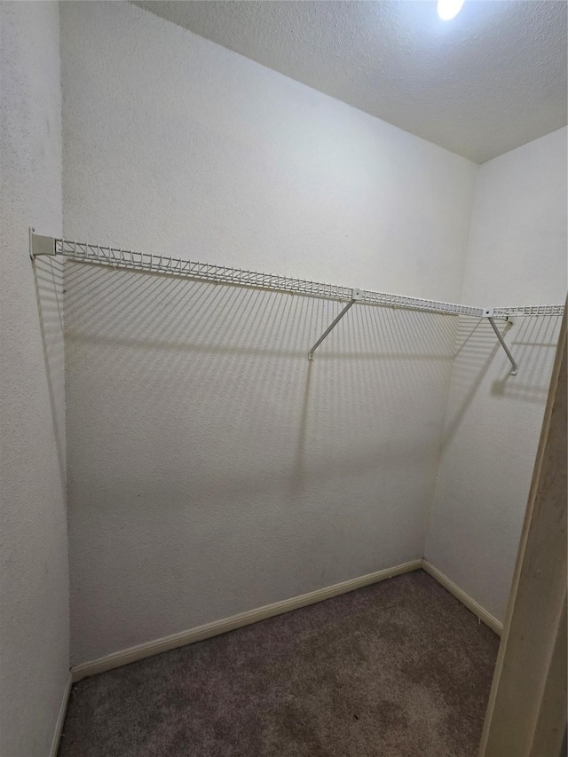 spacious closet featuring carpet