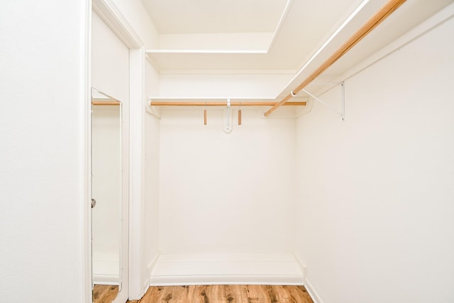 walk in closet with wood-type flooring