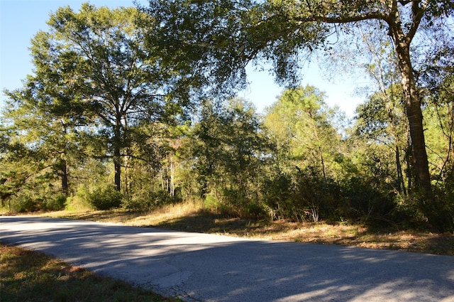 Listing photo 2 for TRACT3 County Road 302, Plantersville TX 77363