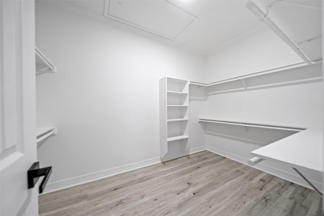 spacious closet featuring light wood-type flooring