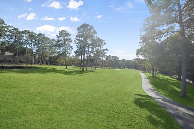 view of community featuring a lawn