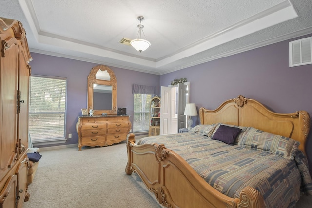 carpeted bedroom with a textured ceiling, a raised ceiling, and multiple windows