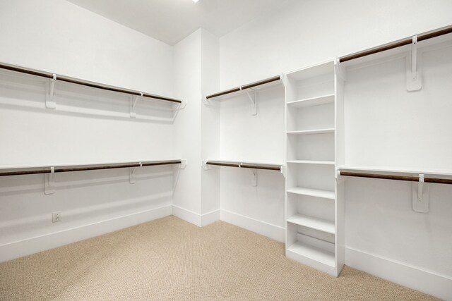 walk in closet with carpet