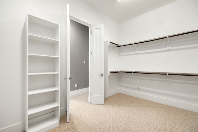 walk in closet featuring carpet floors