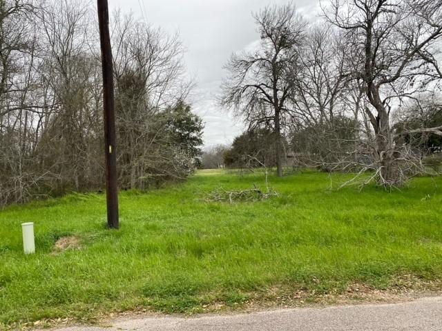 Listing photo 2 for 0 18th St, Hempstead TX 77445