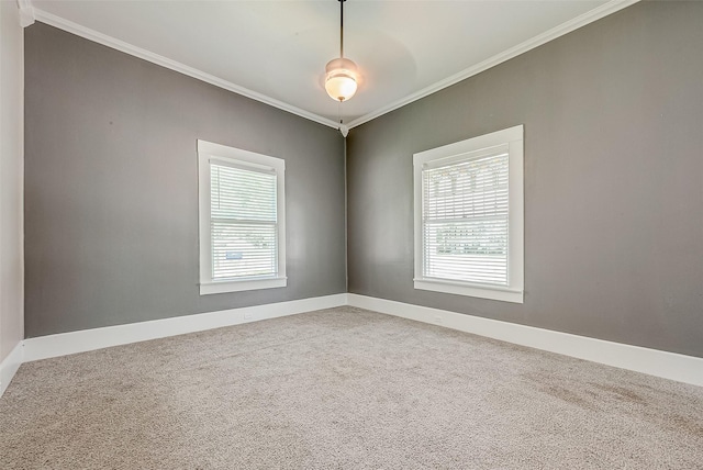 spare room featuring carpet flooring, plenty of natural light, and crown molding