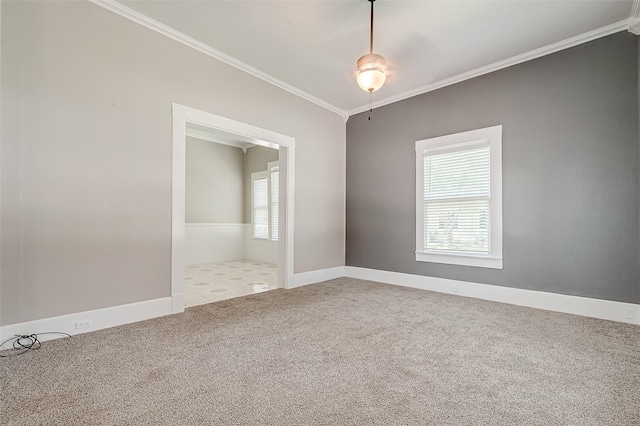 carpeted spare room featuring a wealth of natural light and ornamental molding