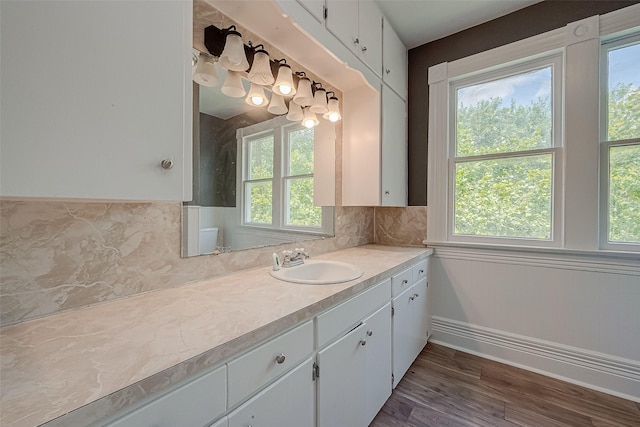 bathroom with vanity, wood-type flooring, backsplash, and a wealth of natural light