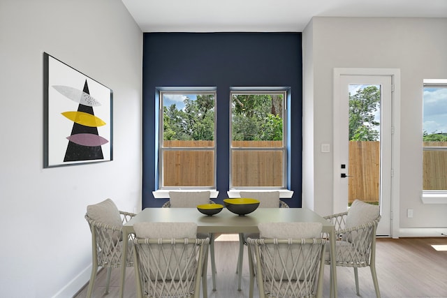 dining space with hardwood / wood-style floors