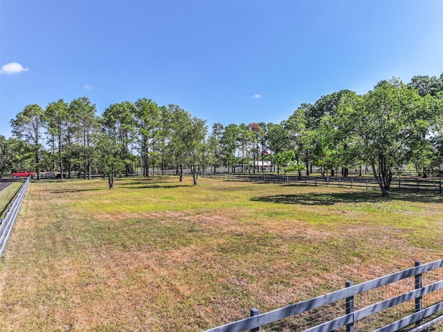 view of yard featuring a rural view