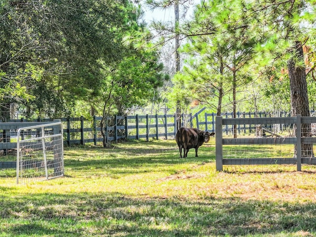 surrounding community with a rural view and a lawn