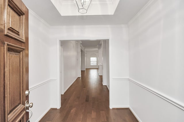 hallway featuring dark wood-type flooring and ornamental molding