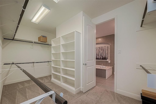 spacious closet featuring light carpet