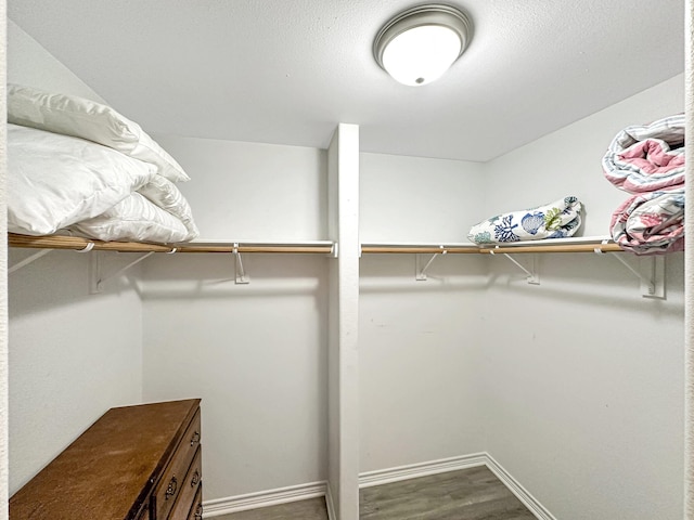 walk in closet featuring wood-type flooring