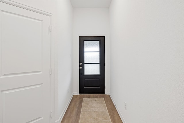 doorway featuring wood-type flooring